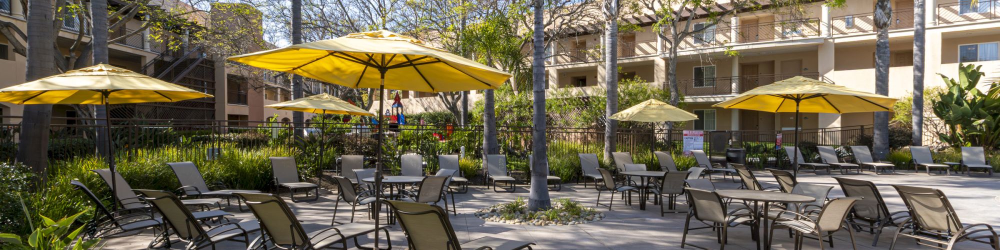 Sunny resort courtyard with palm trees, poolside lounge chairs, and bright yellow umbrellas.
