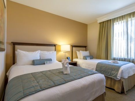 Two queen beds in a warmly lit hotel room with beige walls, green accents, curtains, and a nightstand lamp between them, inviting comfort.