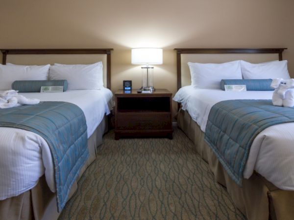 Two tidy hotel beds with teal bed runners, a shared nightstand, lamps, and folded towels, ready for guests in a clean room.