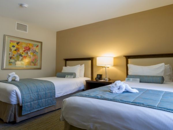 Two tidy hotel beds with blue bed runners, a nightstand lamp, a framed painting, and towels shaped like swans on each bed.