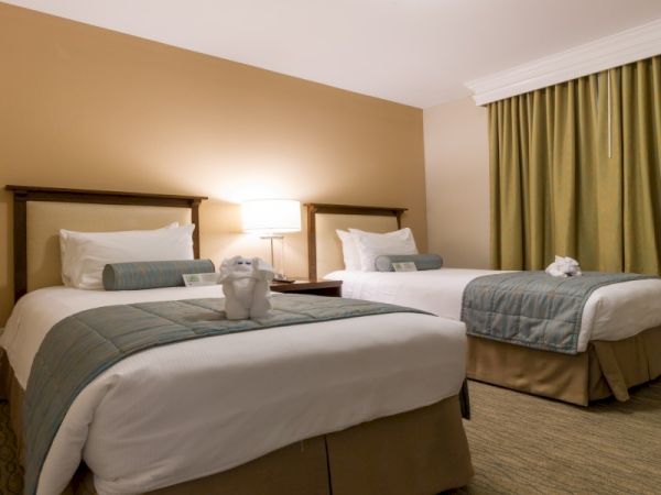 Two neatly made hotel beds with white linens, gray throws, and teal pillows, a wall lamp between them, and olive drapes in a cozy twin-room.