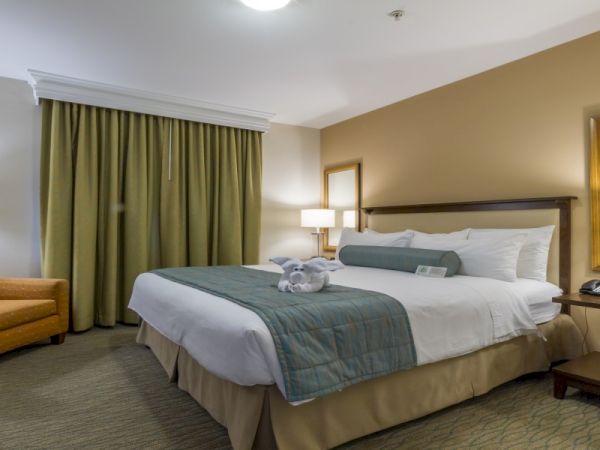 A tidy hotel room with a large bed, two nightstands, a chair, a dresser, and a mirror, in warm, neutral lighting.
