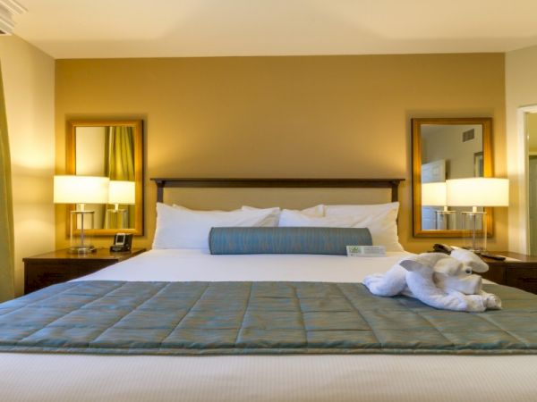A tidy hotel room with a large bed, blue-green throw, two bedside lamps, a plush towel bear, and a door leading to a bathroom.
