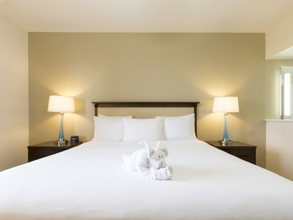 A neatly made hotel bed with a white duvet, two nightstands, lamps, and a small towel arrangement shaped like an animal in front.