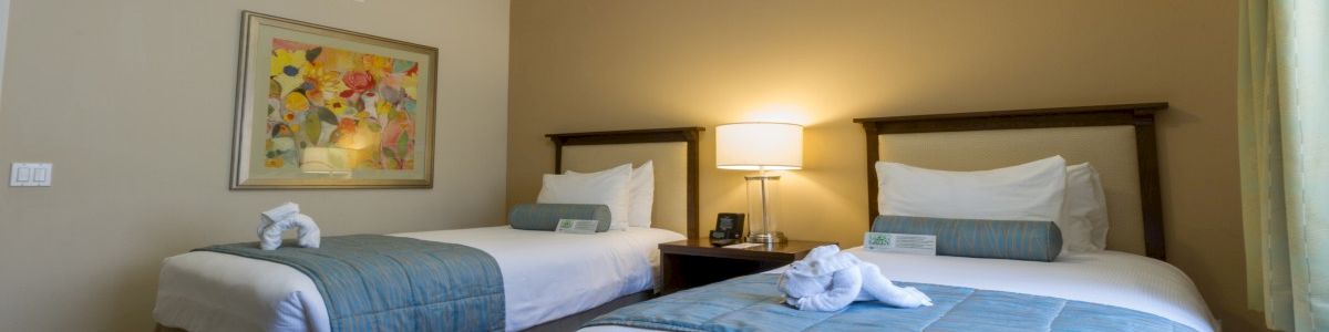Two twin beds in a hotel room with a nightstand, lamps, framed art, and folded towel swans on the beds, plus a beige wall and window.