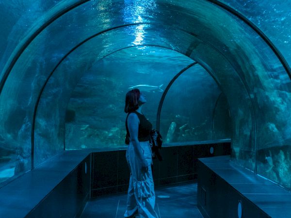 A person walks through a glass-tunnel aquarium with a curved, bubble-filled overhead, watching fish swim above in blue-lit water.