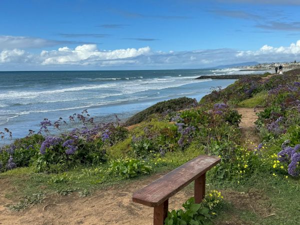 A seaside scene with a wooden bench near wildflowers by the coast, blue waves, rocky shore, and a clear sky in the distance.