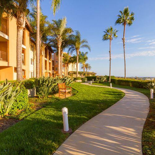A sunny tropical hotel courtyard with palm trees, manicured lawns, and a winding walkway beside the building, creating a resort vibe.