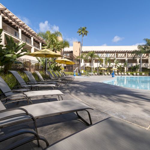 A sunny hotel poolside with rows of lounge chairs, yellow umbrellas, palm trees, and resort buildings beside a blue swimming pool.