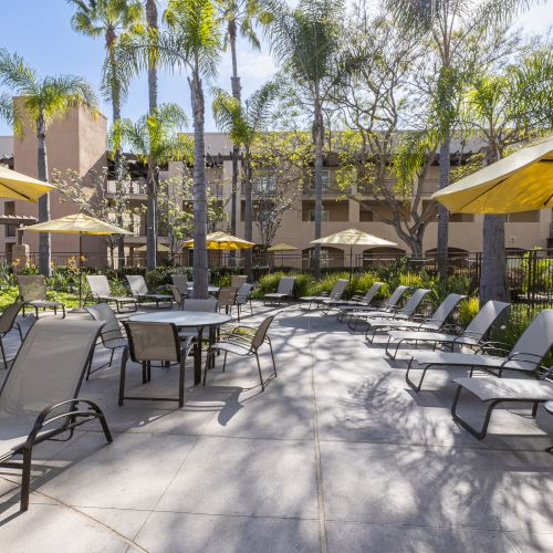 Sunny hotel poolside patio with yellow umbrellas, lounge chairs, tables, and palm trees under a clear blue sky.