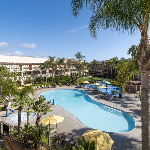 Sunny hotel courtyard with a turquoise swimming pool, lounge chairs, umbrellas, and tall palm trees under a blue sky.