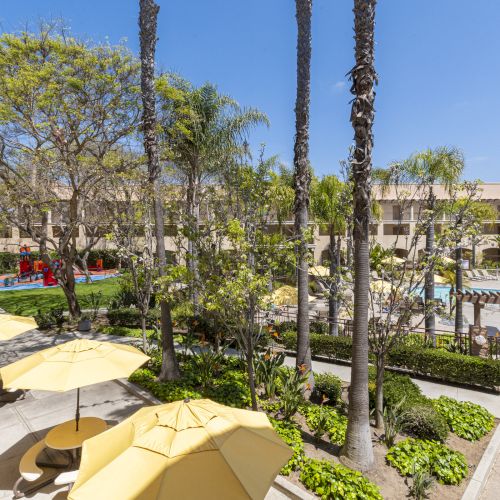 Sunlit resort courtyard with tall palms, landscaped greenery, yellow umbrellas, and a swimming pool beside apartment buildings.