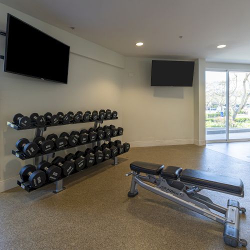 A bright gym with stacked dumbbells on racks, a flat bench, balance pods, and wall TVs, plus large windows.