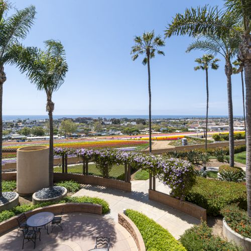 A sunny seaside garden with tall palm trees, colorful flower beds, and a view of the ocean and nearby homes.