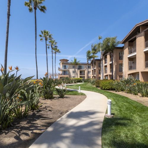 Sunlit beachfront apartment complex with palm trees, manicured lawns, and a curved walkway beside blooming plants.