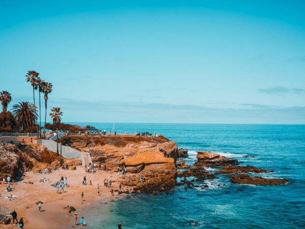A sunny rocky coastline beach with palm trees and swimmers, with people relaxing along the shore under a clear blue sky.